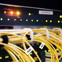 Imagen adicional 70015CTZFX231_1.jpg